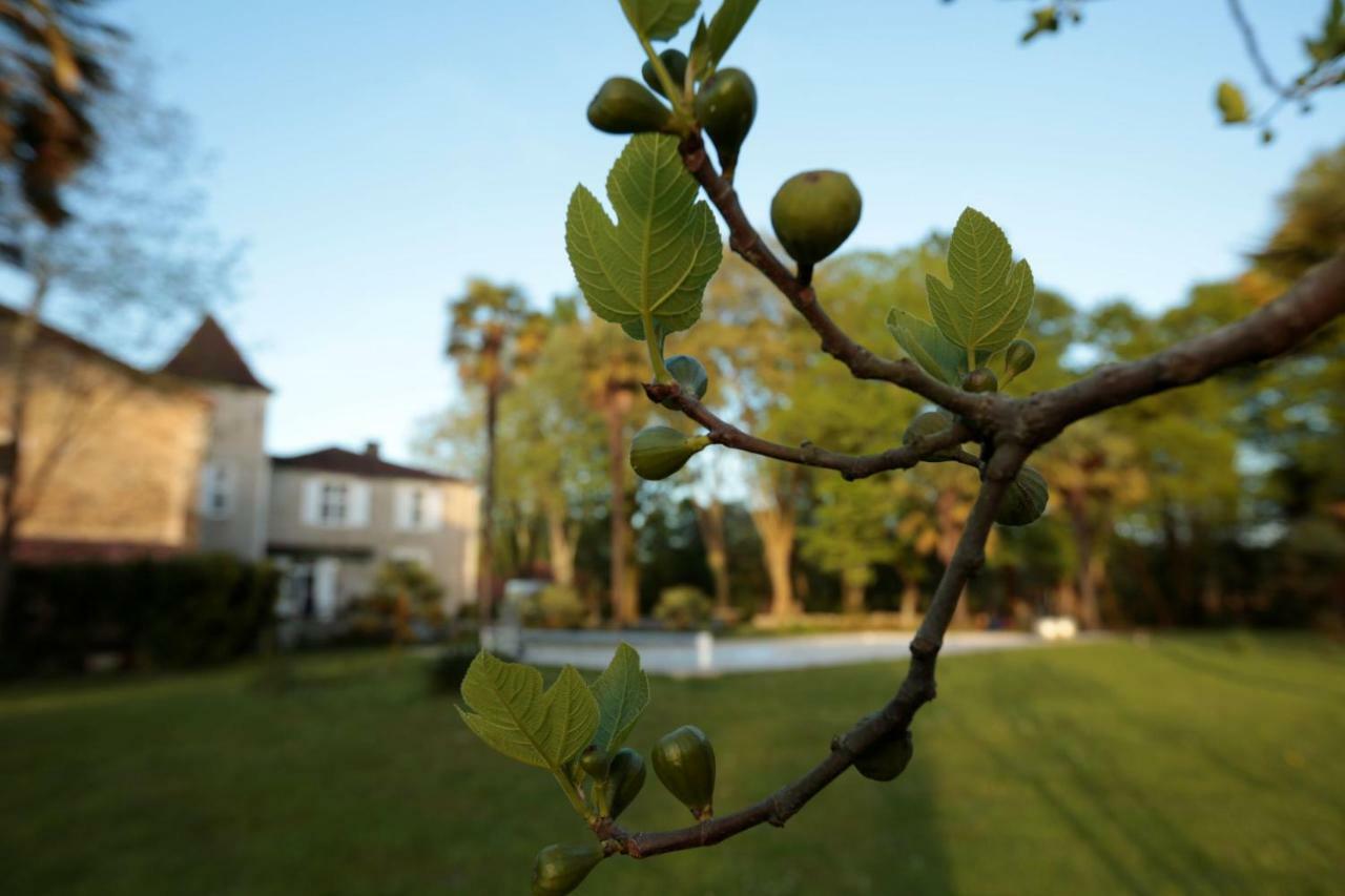 Chateau Saint Martin B&B Pouillon Dış mekan fotoğraf