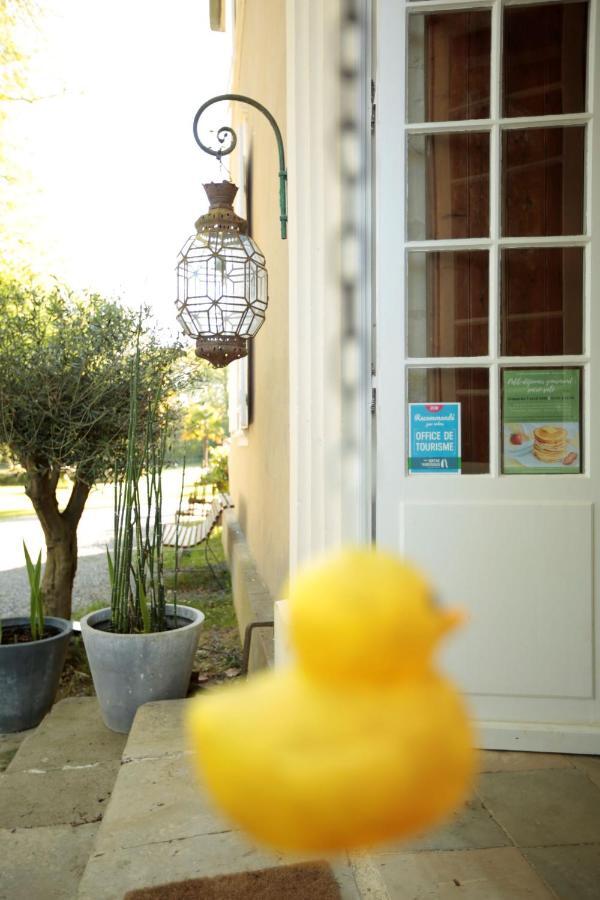 Chateau Saint Martin B&B Pouillon Dış mekan fotoğraf