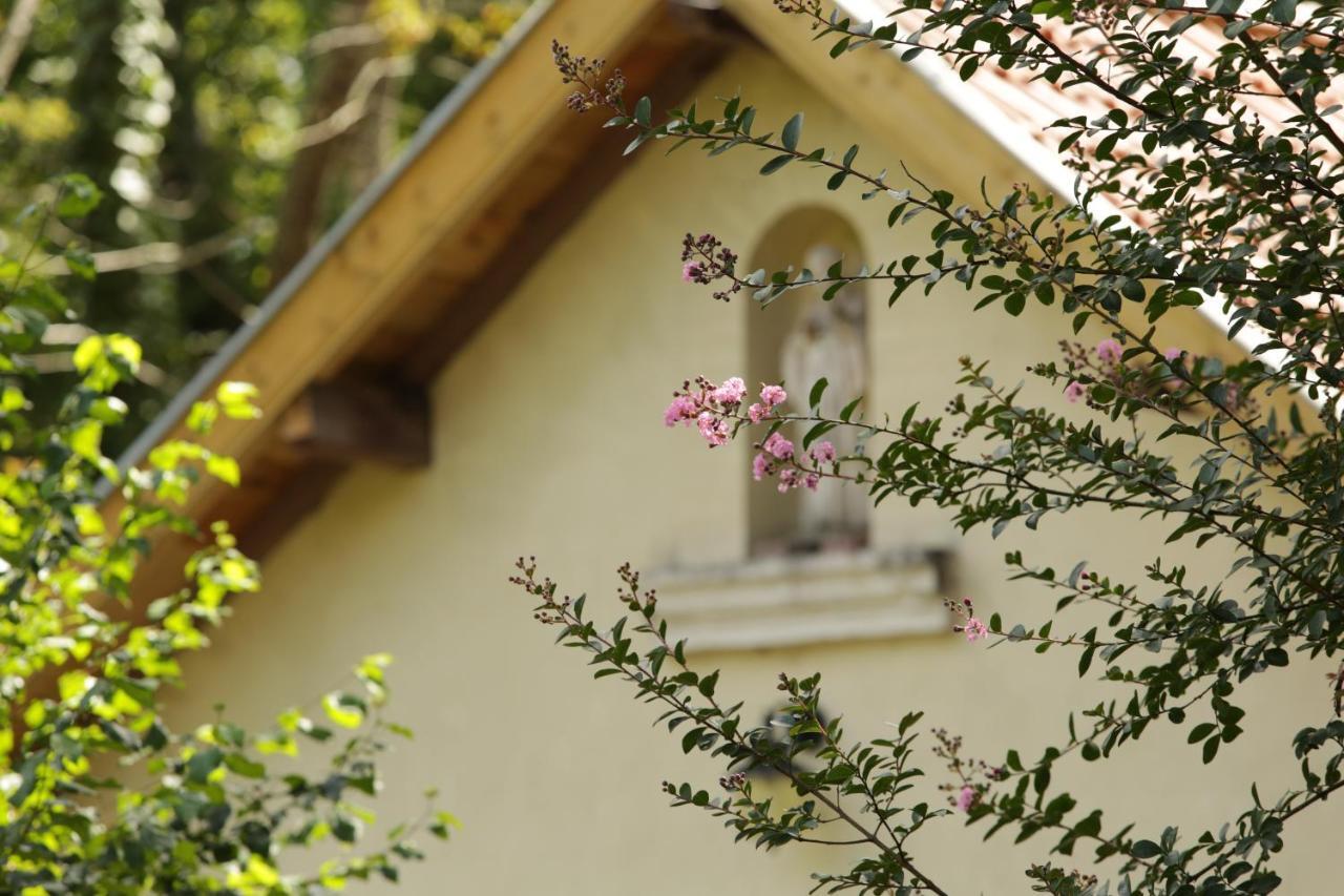 Chateau Saint Martin B&B Pouillon Dış mekan fotoğraf
